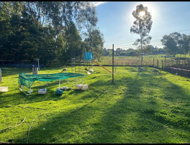 15,170M² SMALLHOLDING FOR SALE IN BENONI AH